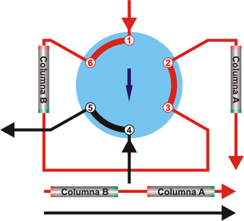 columna de cromatografía de gases